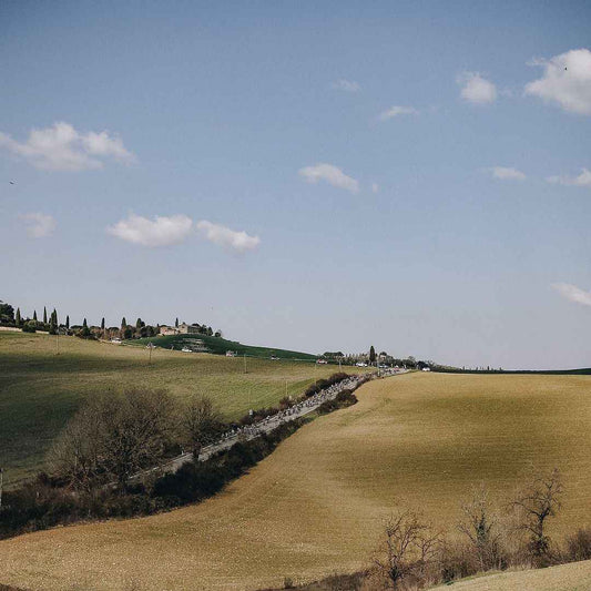 Strade Bianche - Bikeonline .Cl