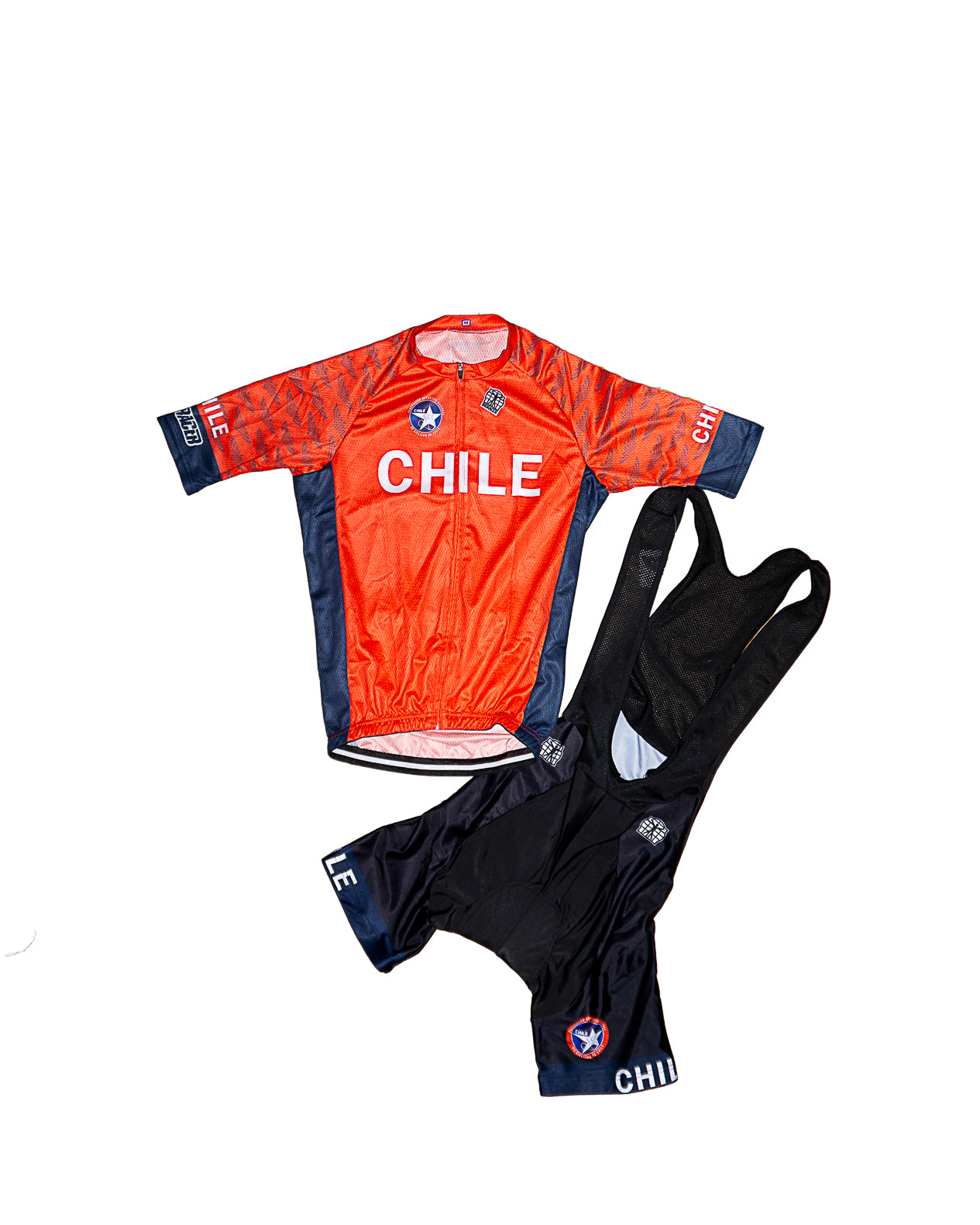 Seleccion de chile